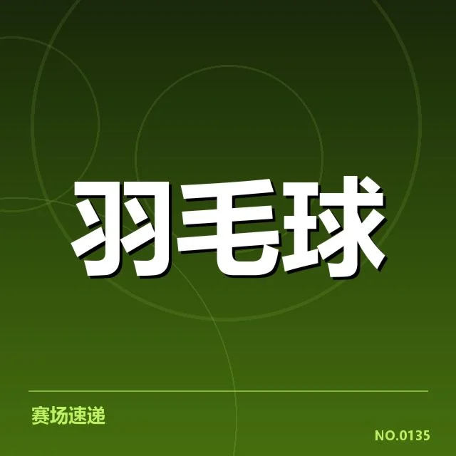 多场赛事中已确认的界外判罚事实